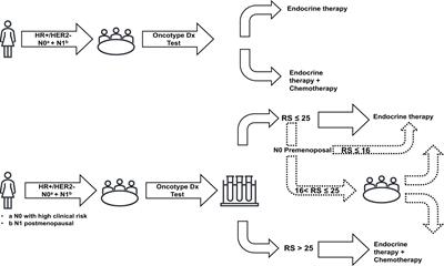 Genomic signature to guide adjuvant chemotherapy treatment decisions for early breast cancer patients in France: a cost-effectiveness analysis